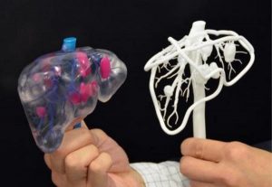 3D printed structures to mimic human organs